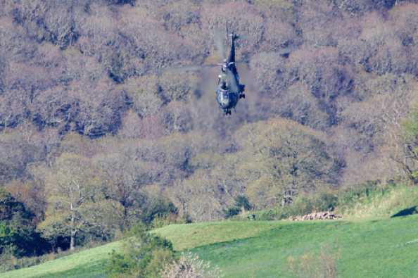 14 April 2020 - 16-36-18 
A fairly spectacular departure for the landing craft. Still not sure which Puma this was.
--------------------
RAF Puma helicopters ZA935 & XW232 
Over Dartmouth & Kingswear